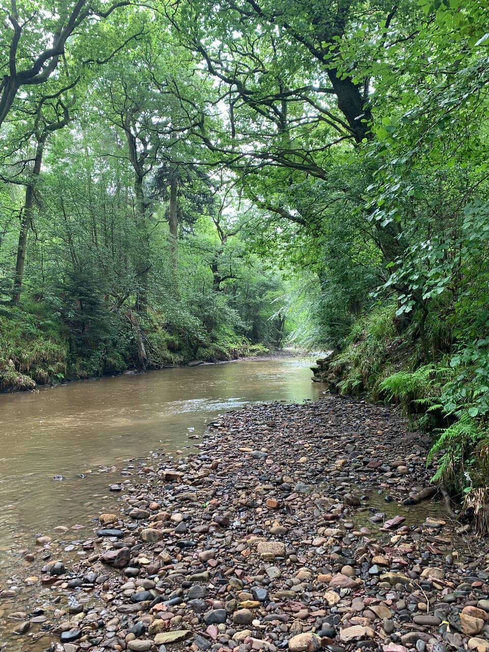 Woodland Trails