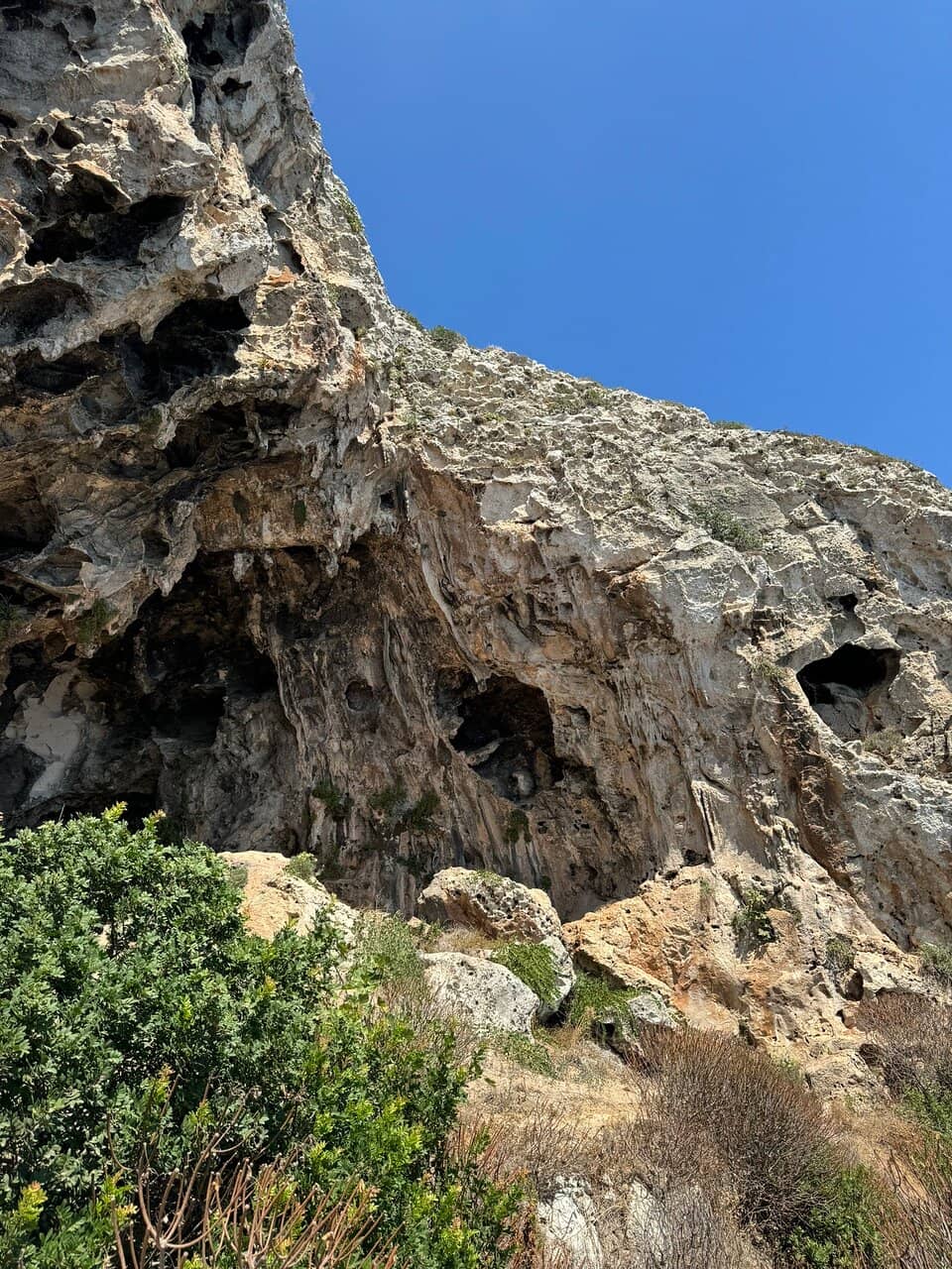 Vertical photo