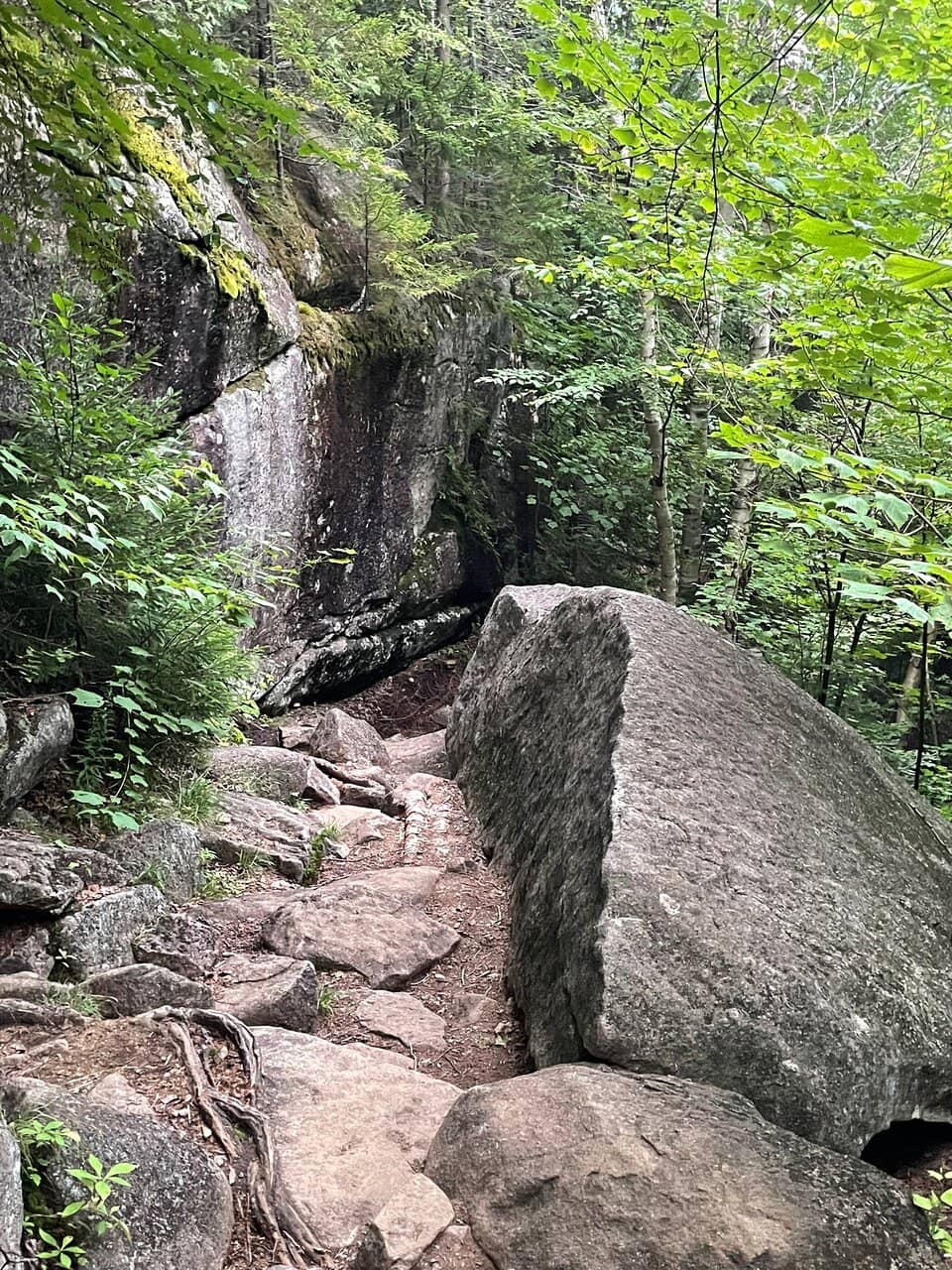 Mount Jo