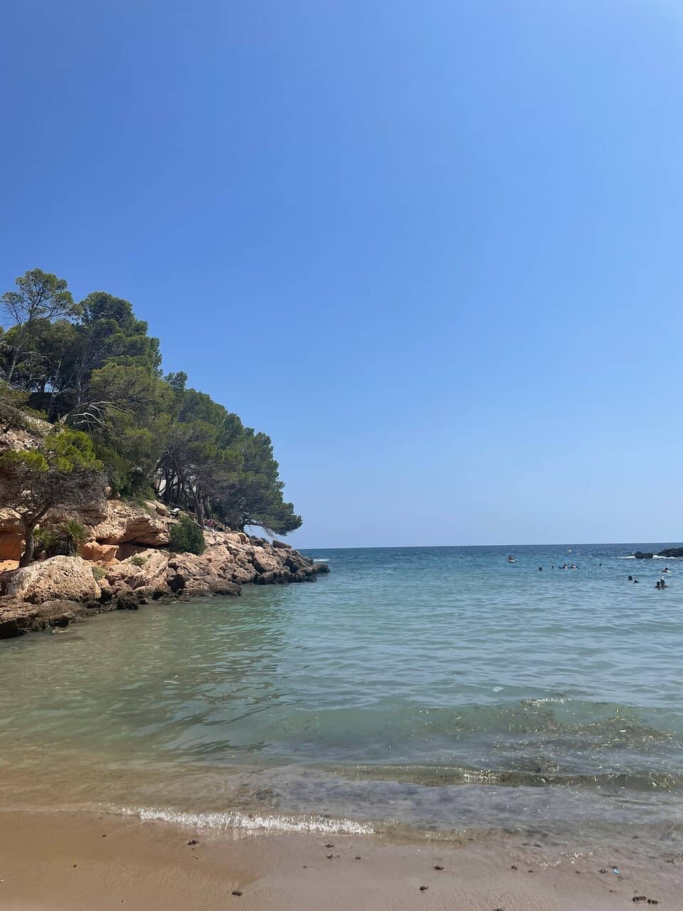 Convenient Amenities