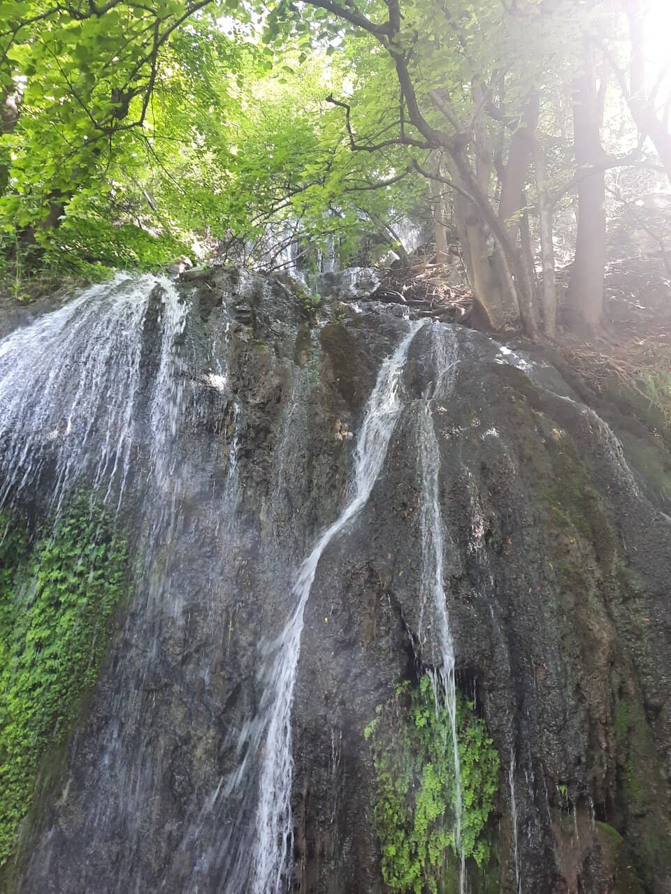 Vertical photo