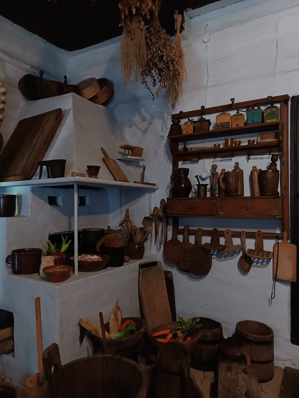 Dobczyce Castle Vista