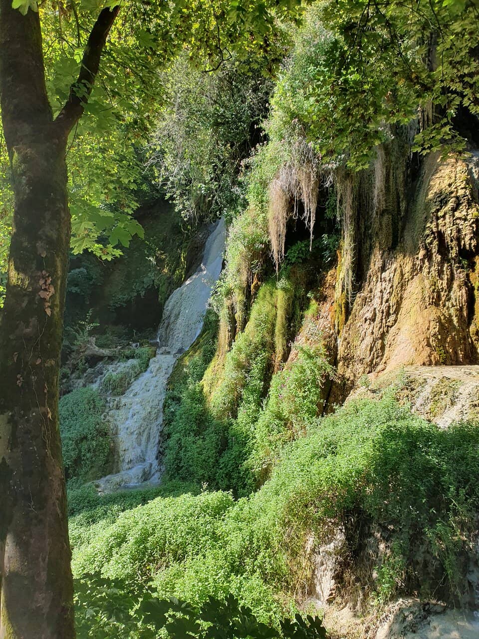 Vertical photo