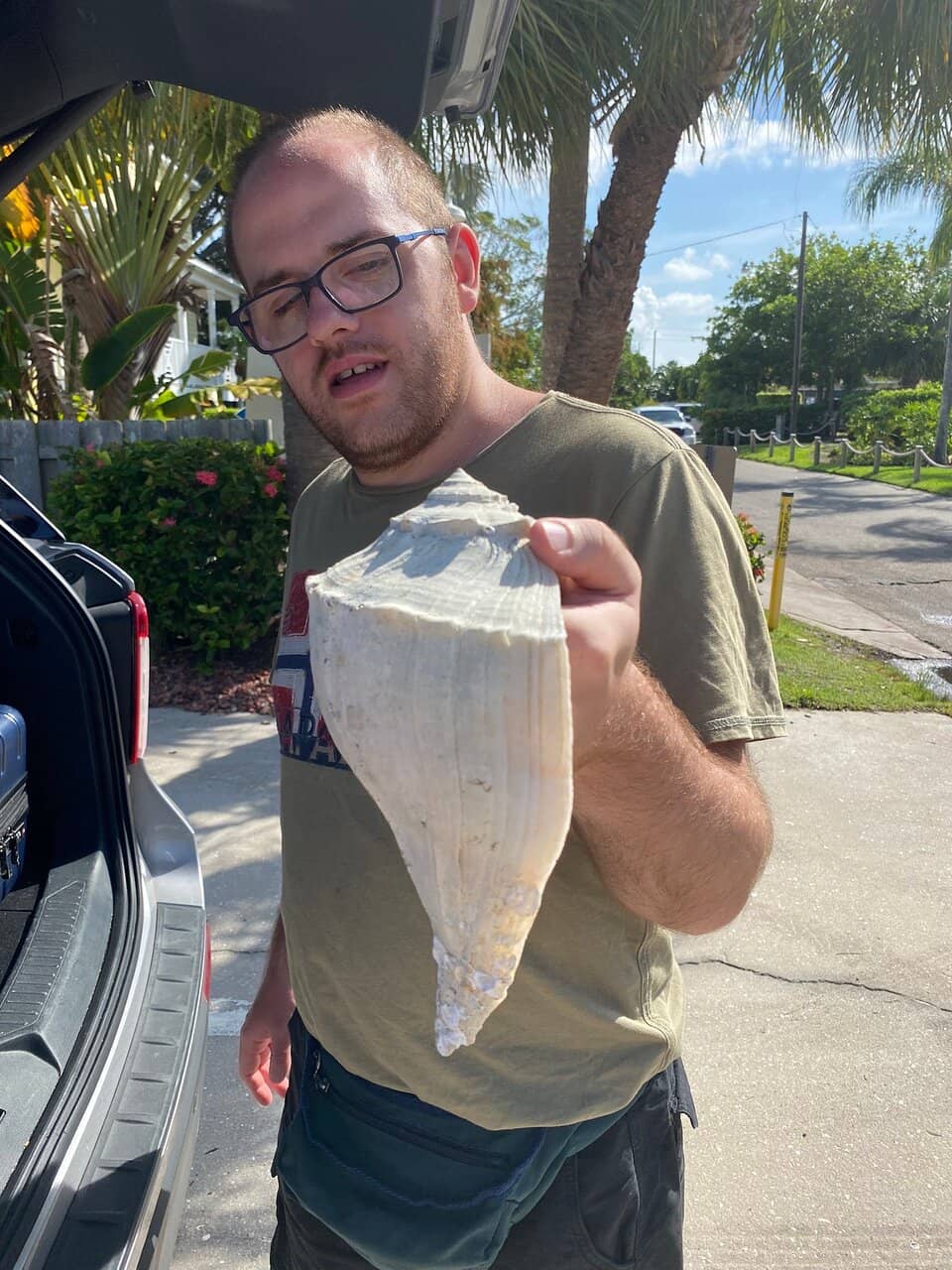 Dolphin and Bird Watching