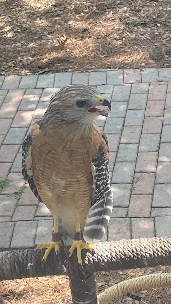 Restored Bungalow & Educational Center