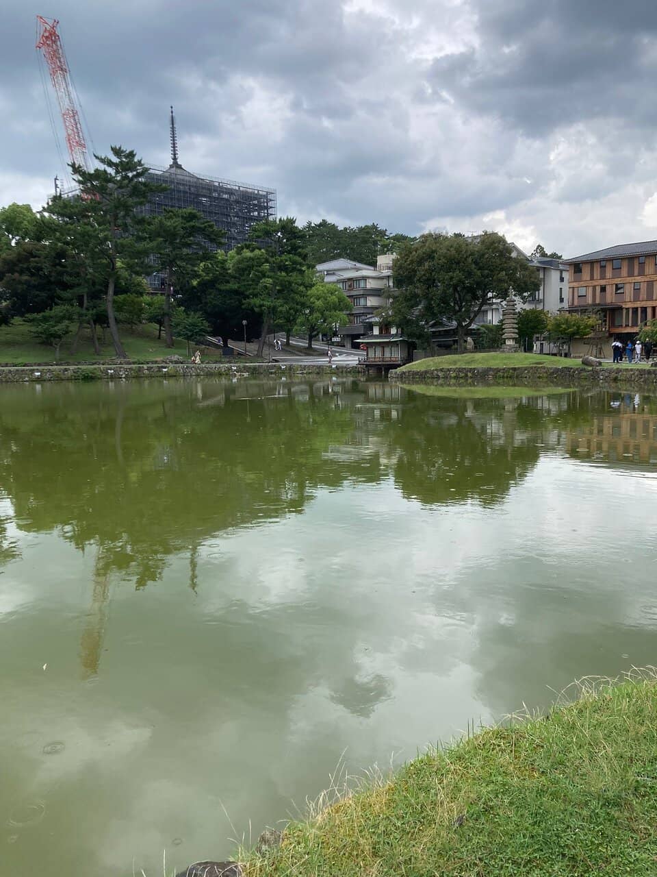 Sarusawa Pond Reflections