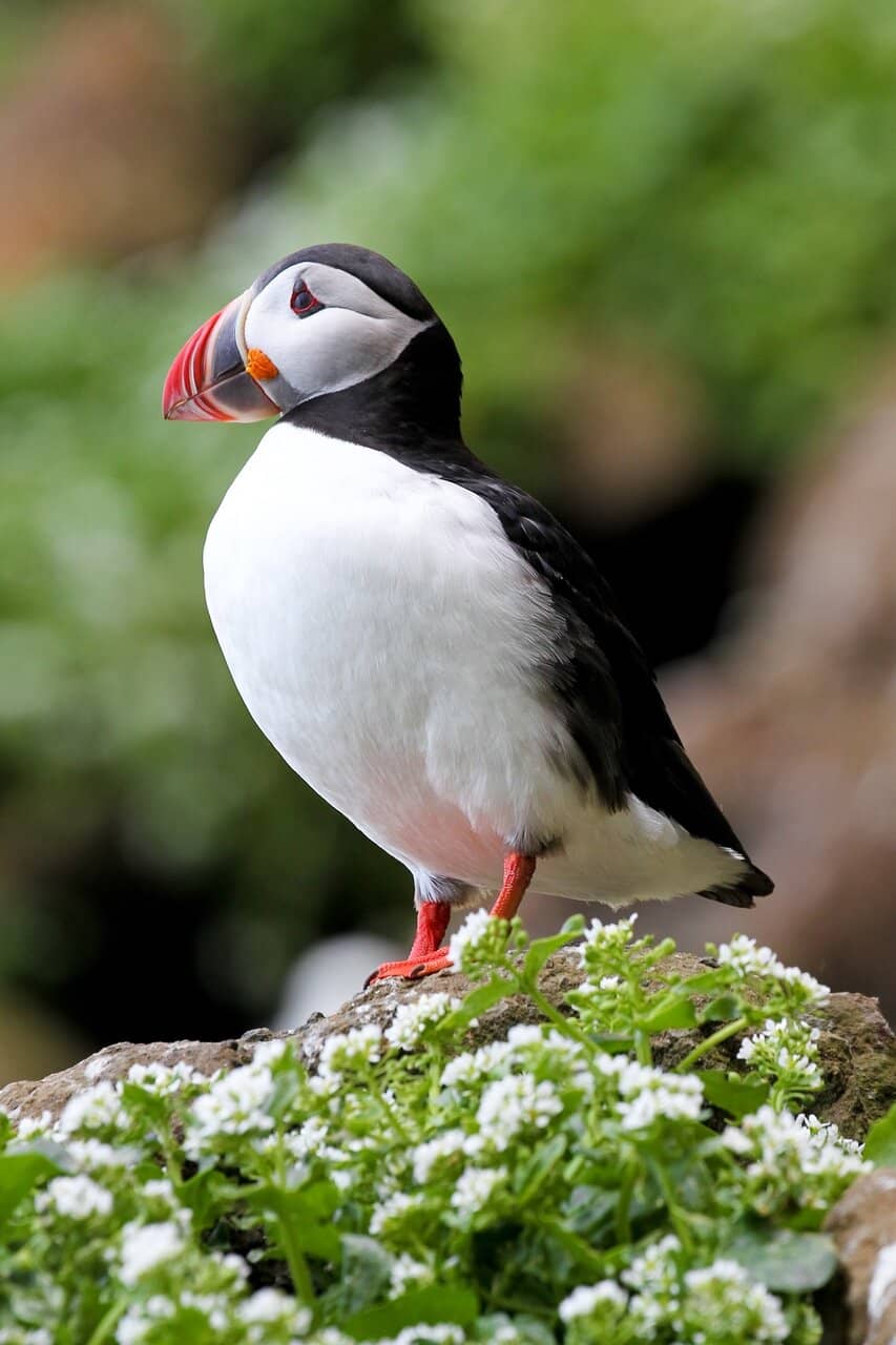 Spectacular Island Views