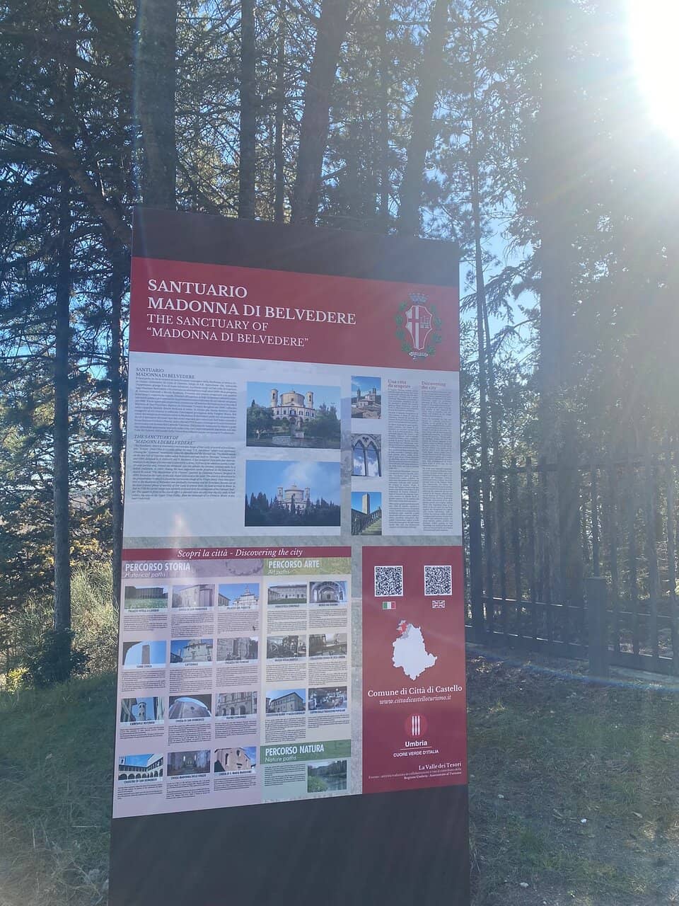 Peaceful Nature Walk