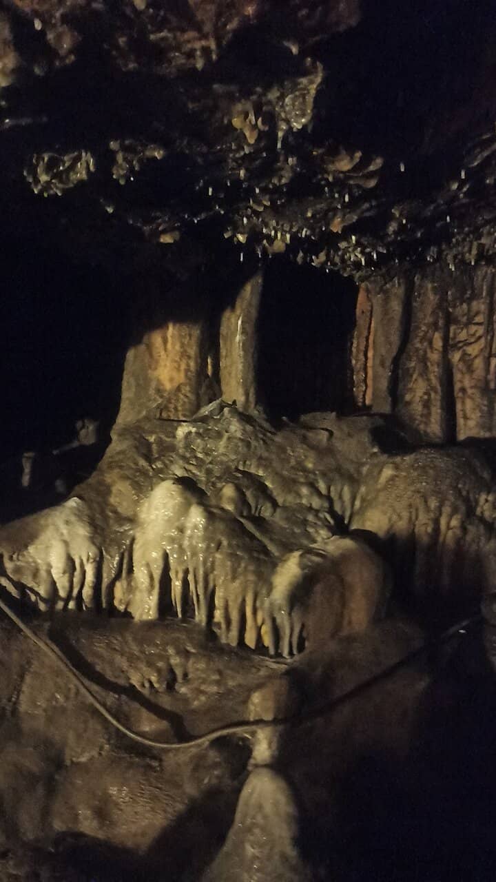 Scenic Walking Trails