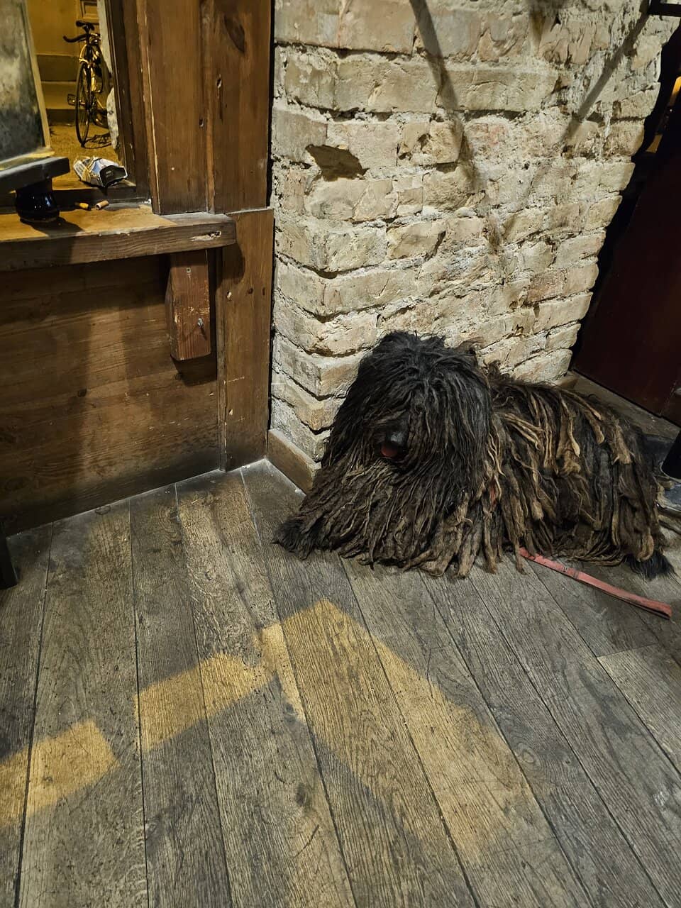 Delicious Pub Eats