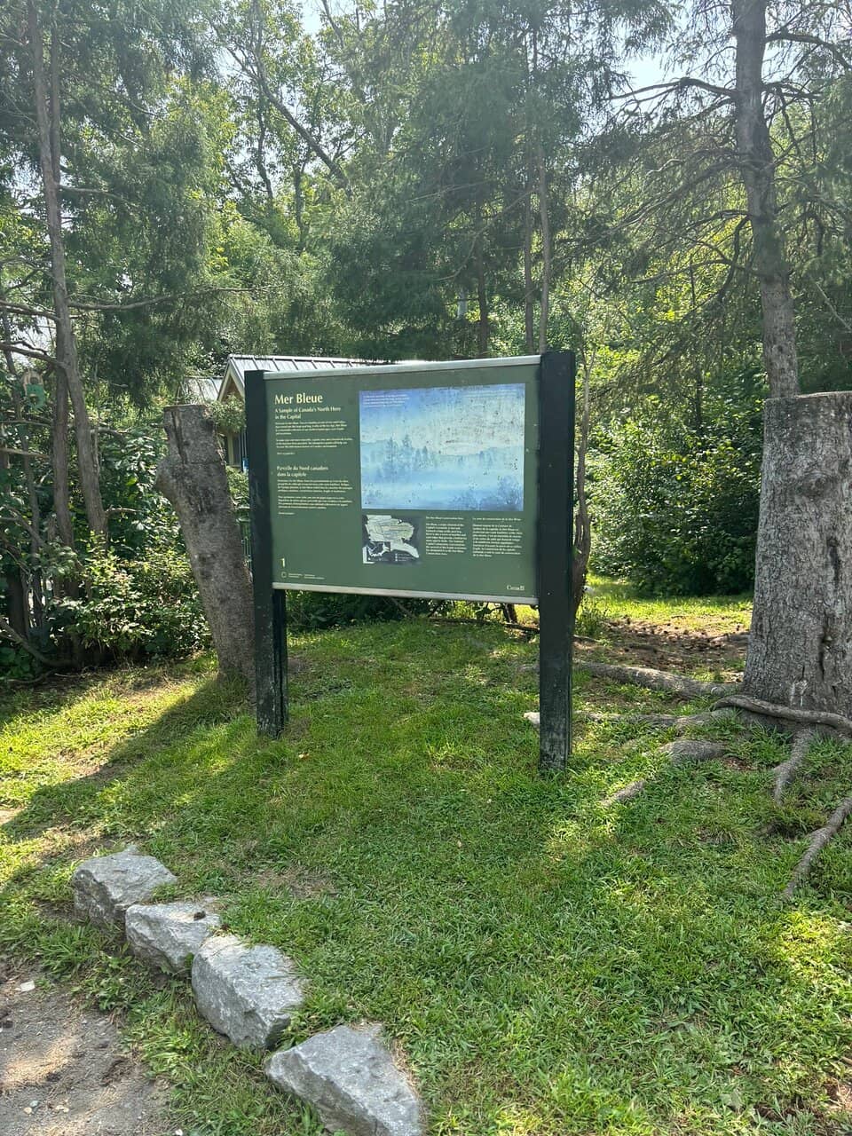 Ancient Wetland Ecosystem