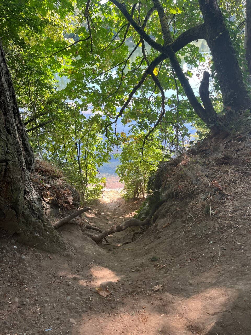 Vertical photo