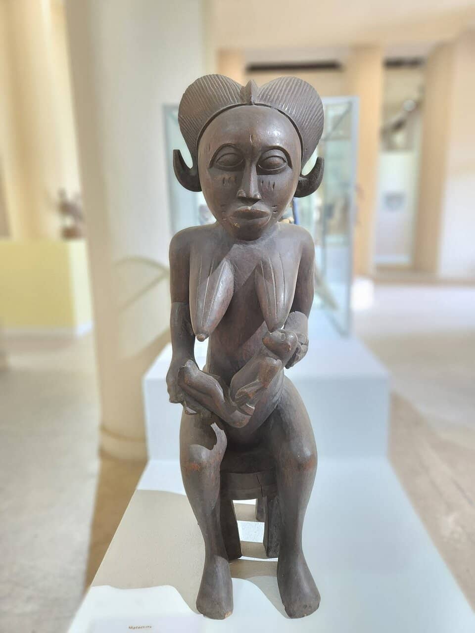 Contemporary Art Exhibitions