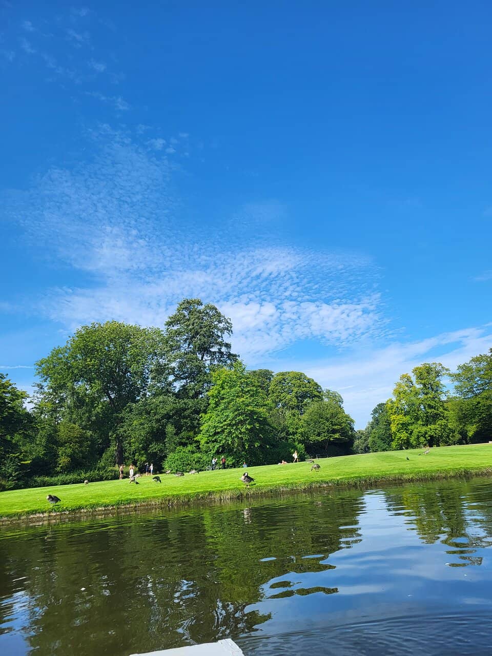 Zoo Views