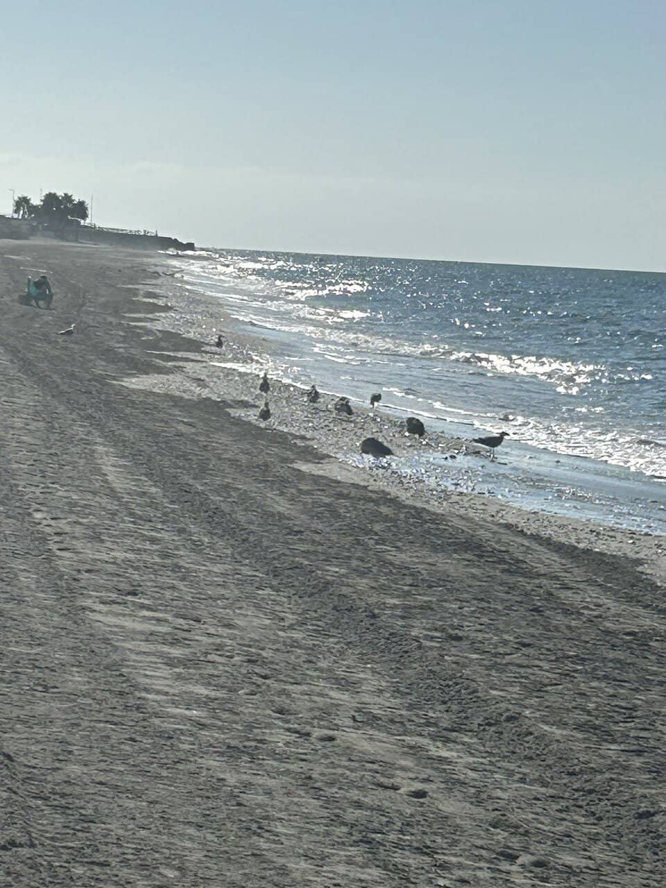 Fossilized Dune Landscape