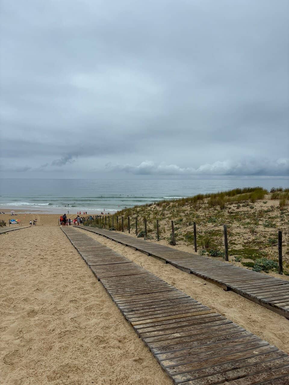 Surfer's Paradise