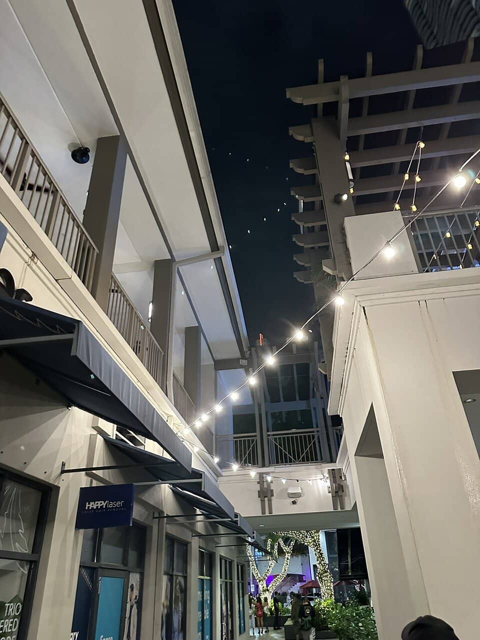 Novecento's Italian-Argentinian Flair