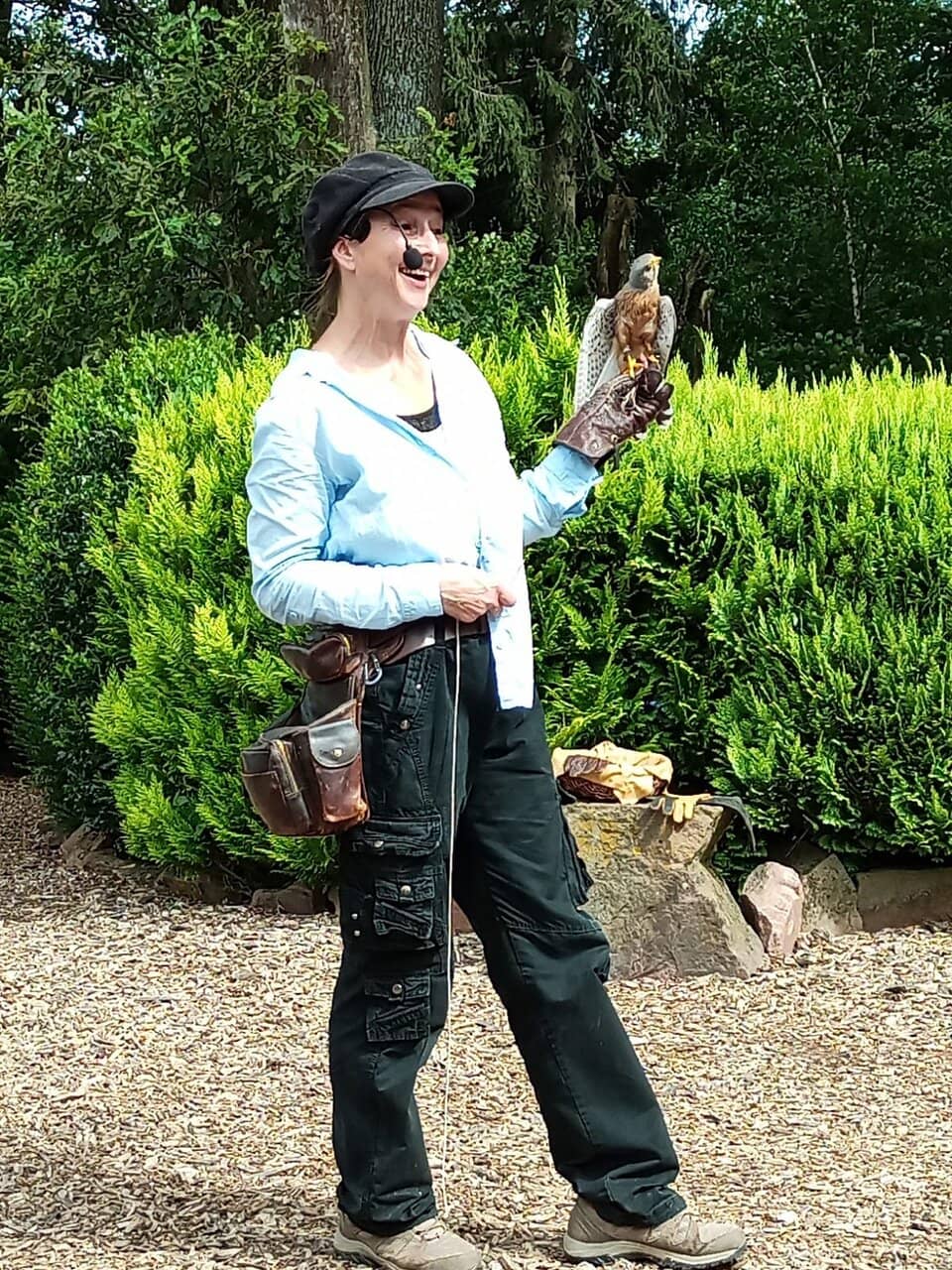 Panoramic City Views