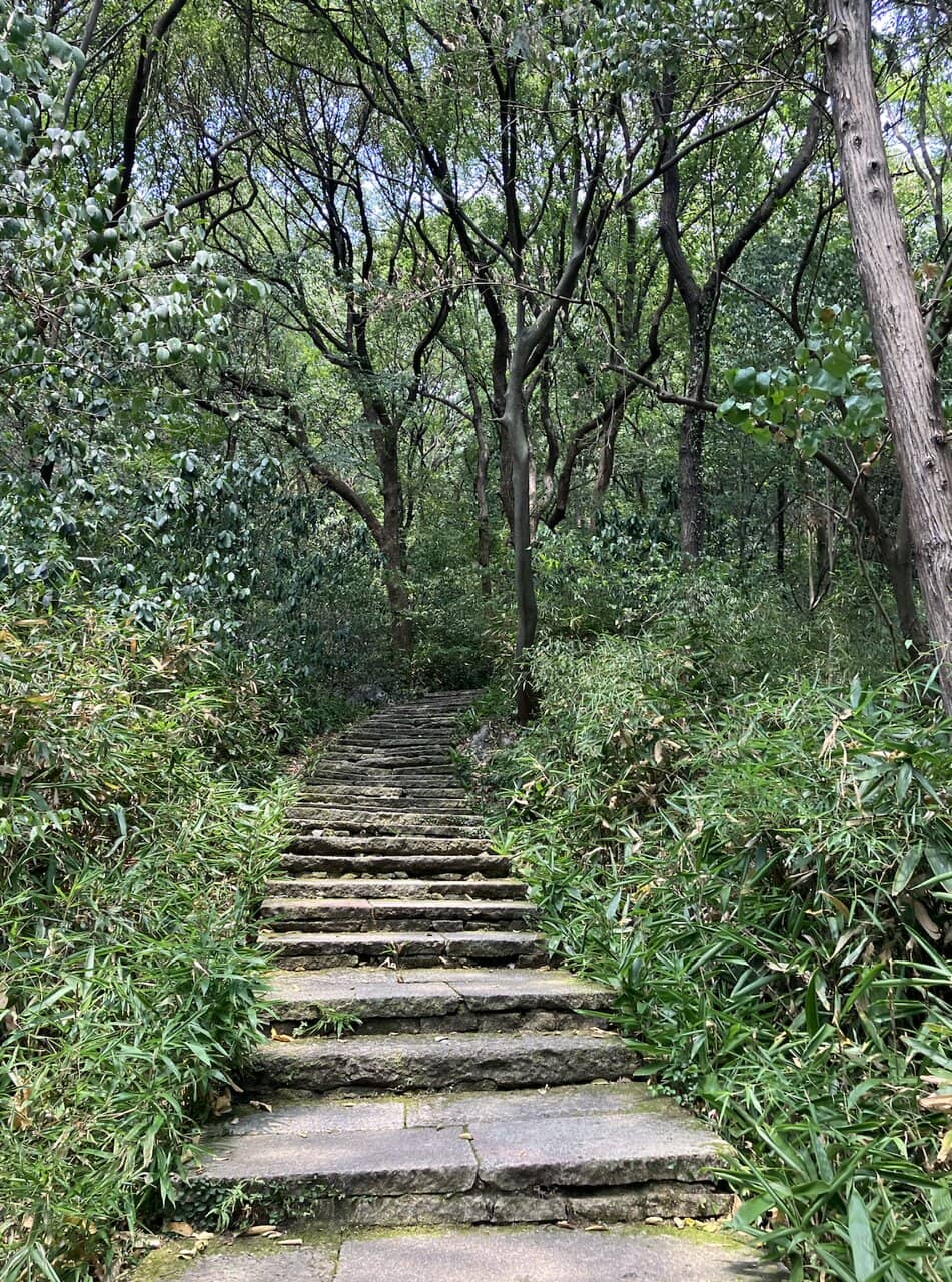 Tranquil Gardens