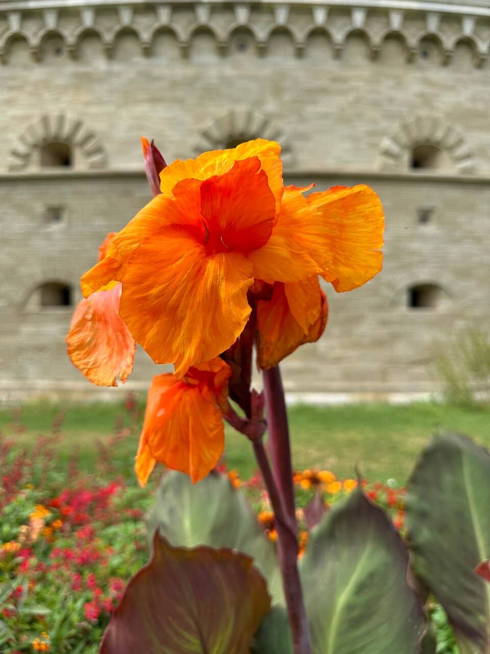 Children's Playground