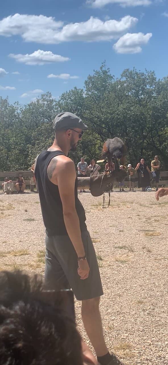 Interactive Bird Encounters