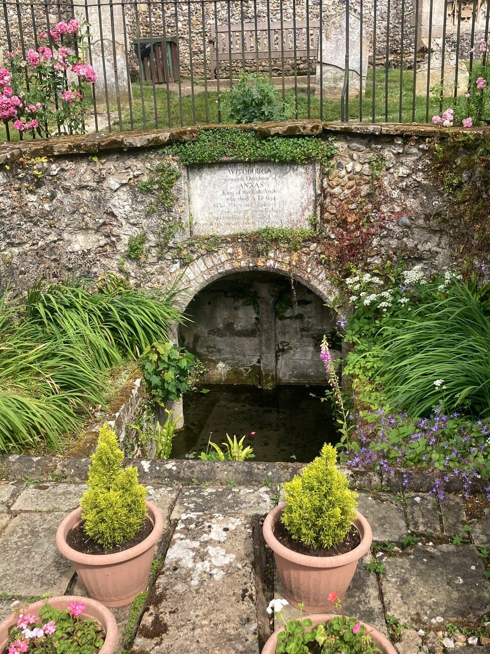 Vertical photo