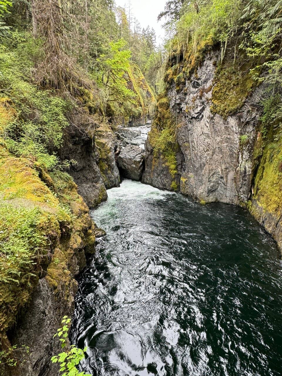 Englishman River Swimming Hole