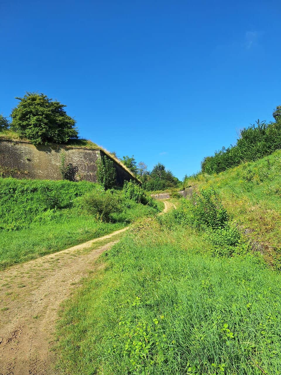 Panoramic City Views