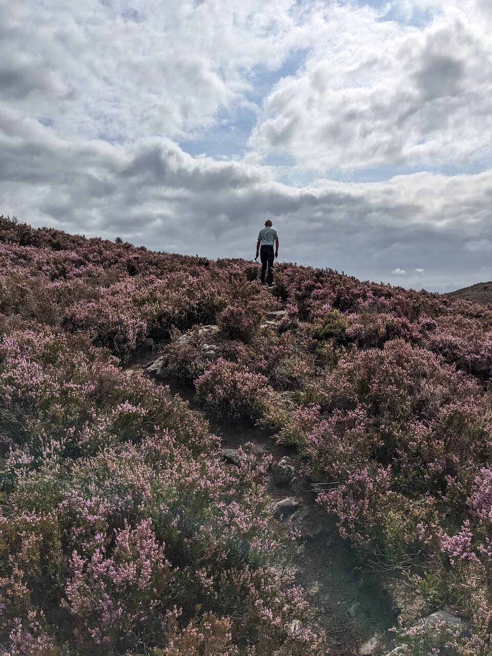 Harbottle Castle Ruins