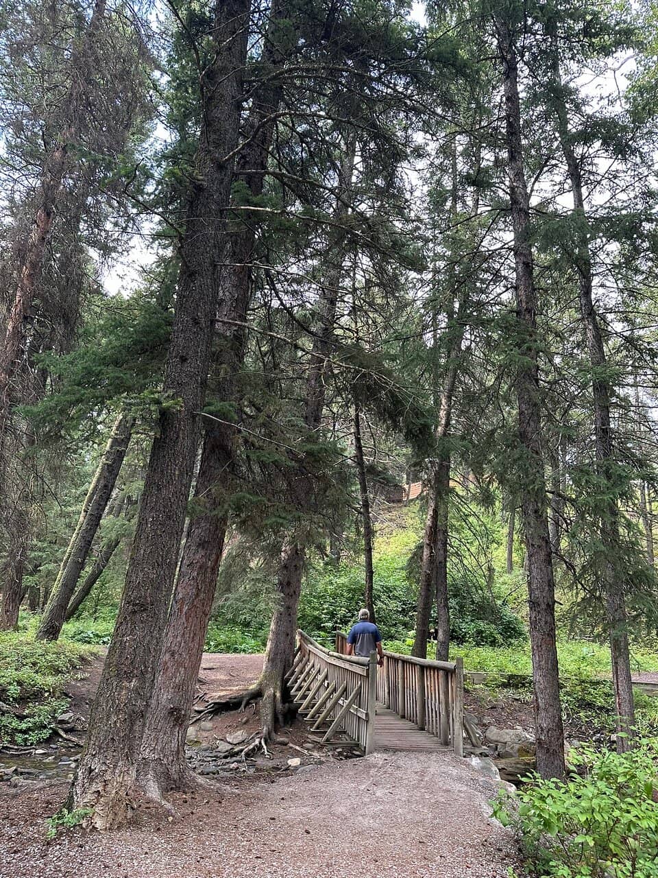Campground Privacy