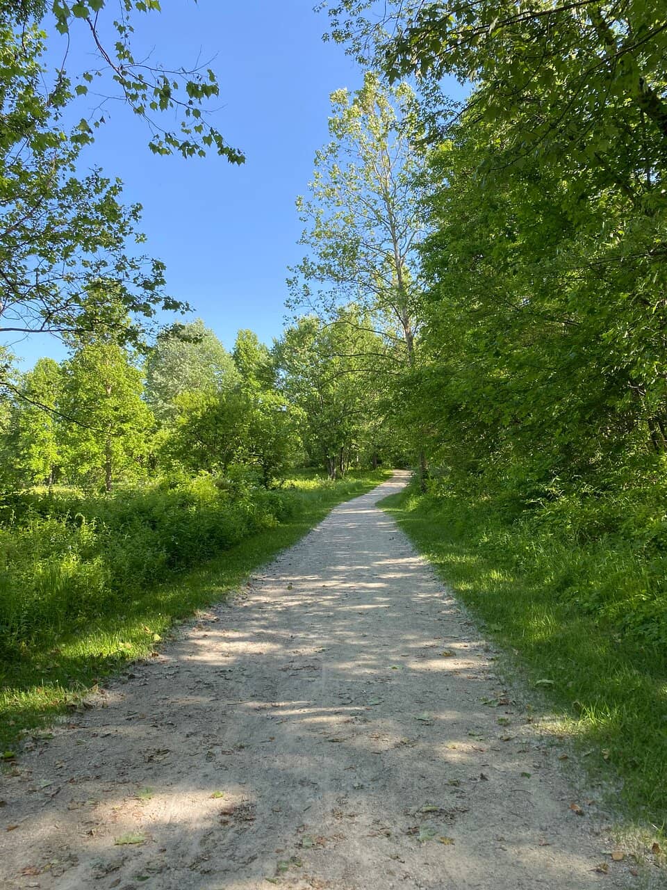 Scenic Creek Trails
