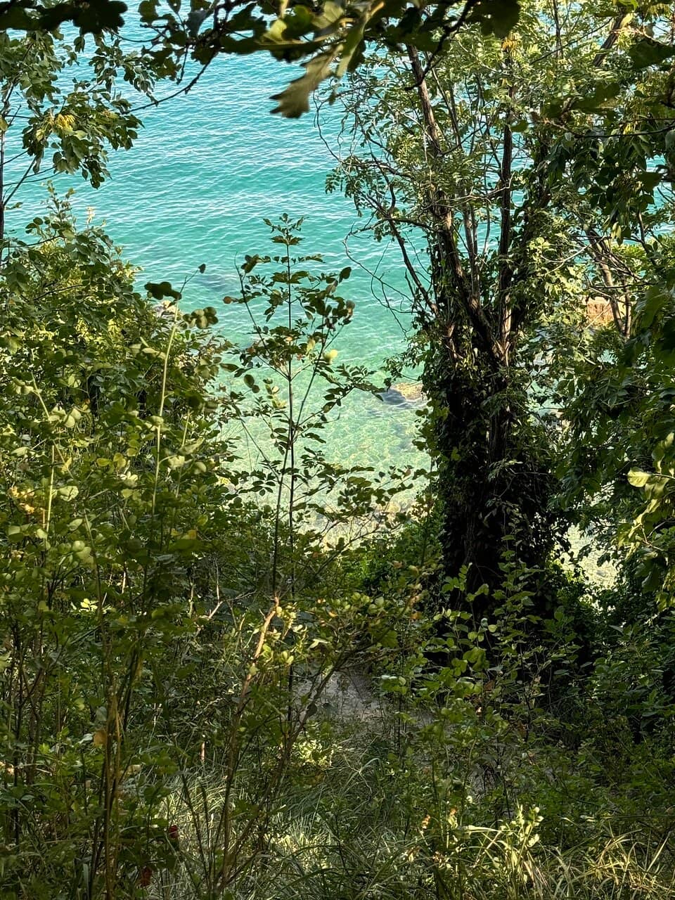 Strunjan Cliff Hike