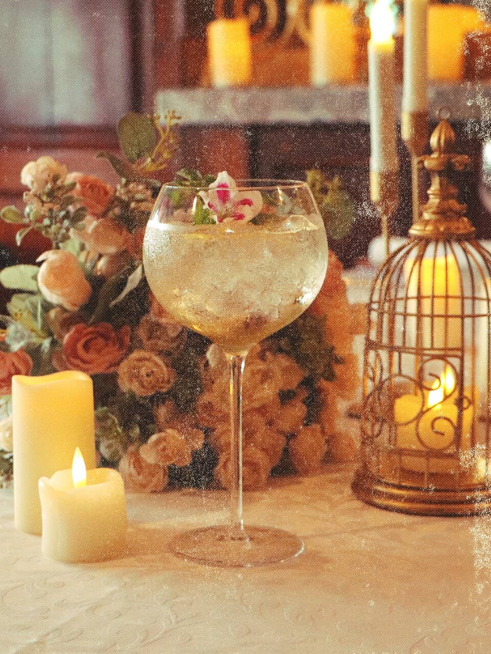 Gourmet European Cuisine