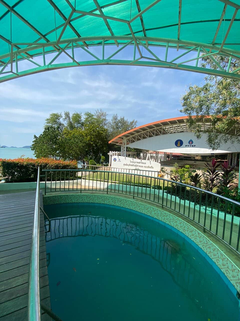 Educational Video Presentation