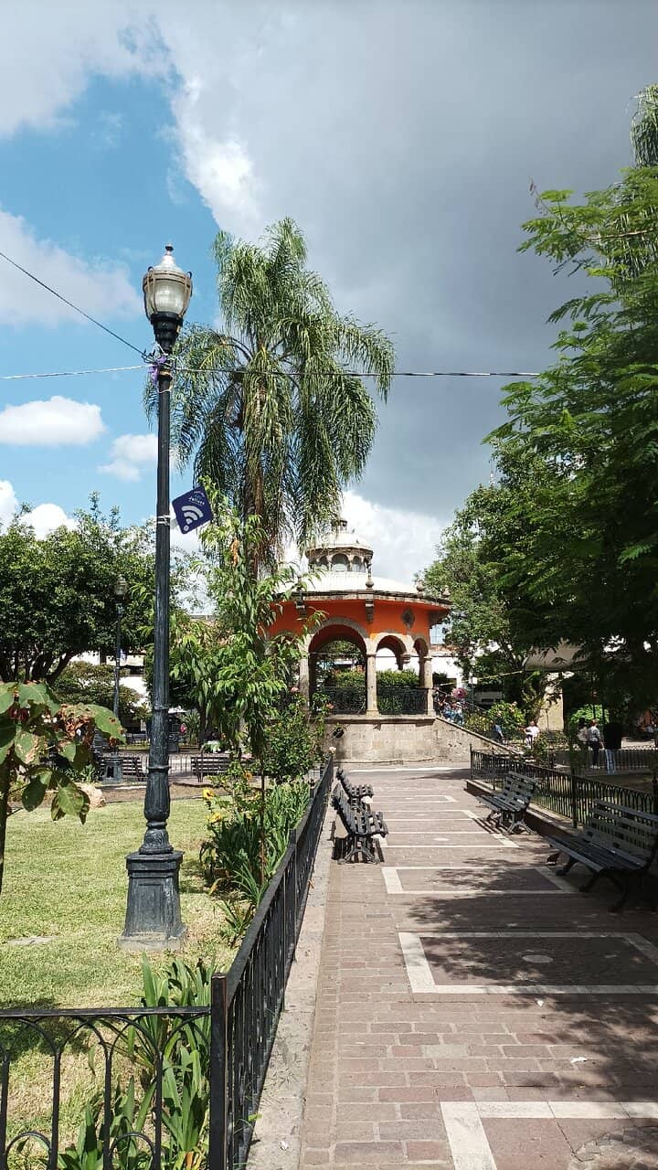 Street Food Delights