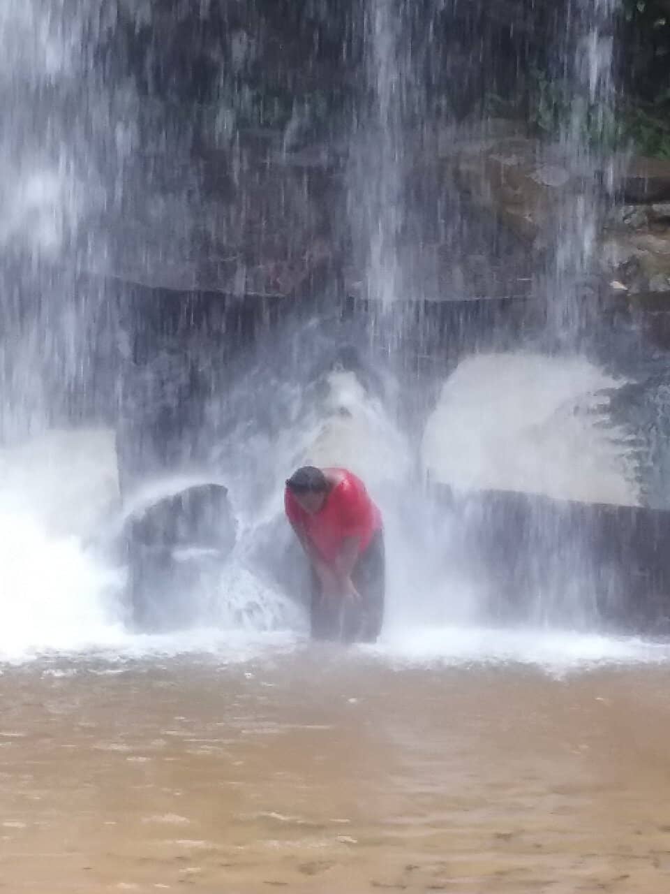 Endangered Sable Antelope