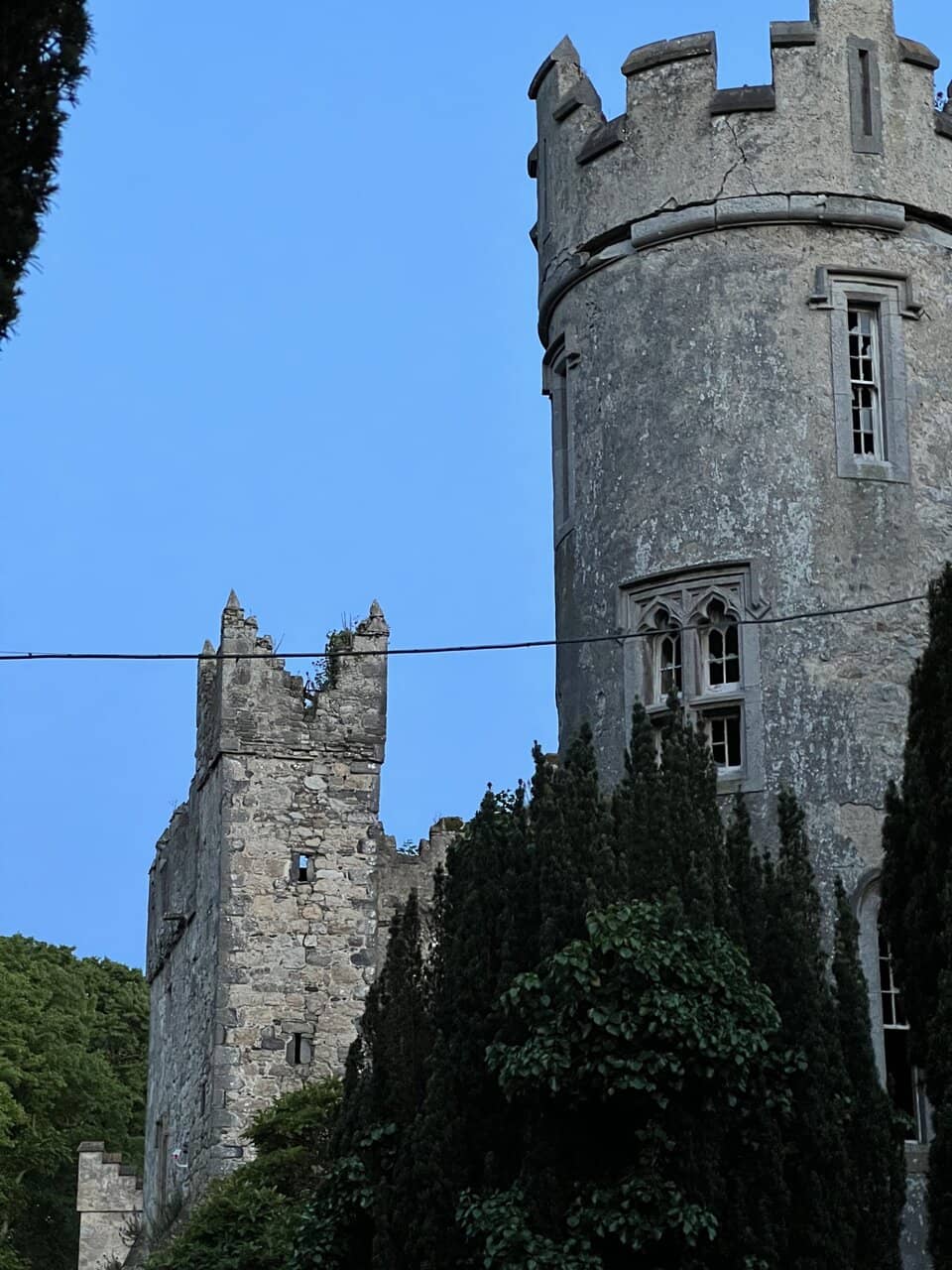 Vertical photo