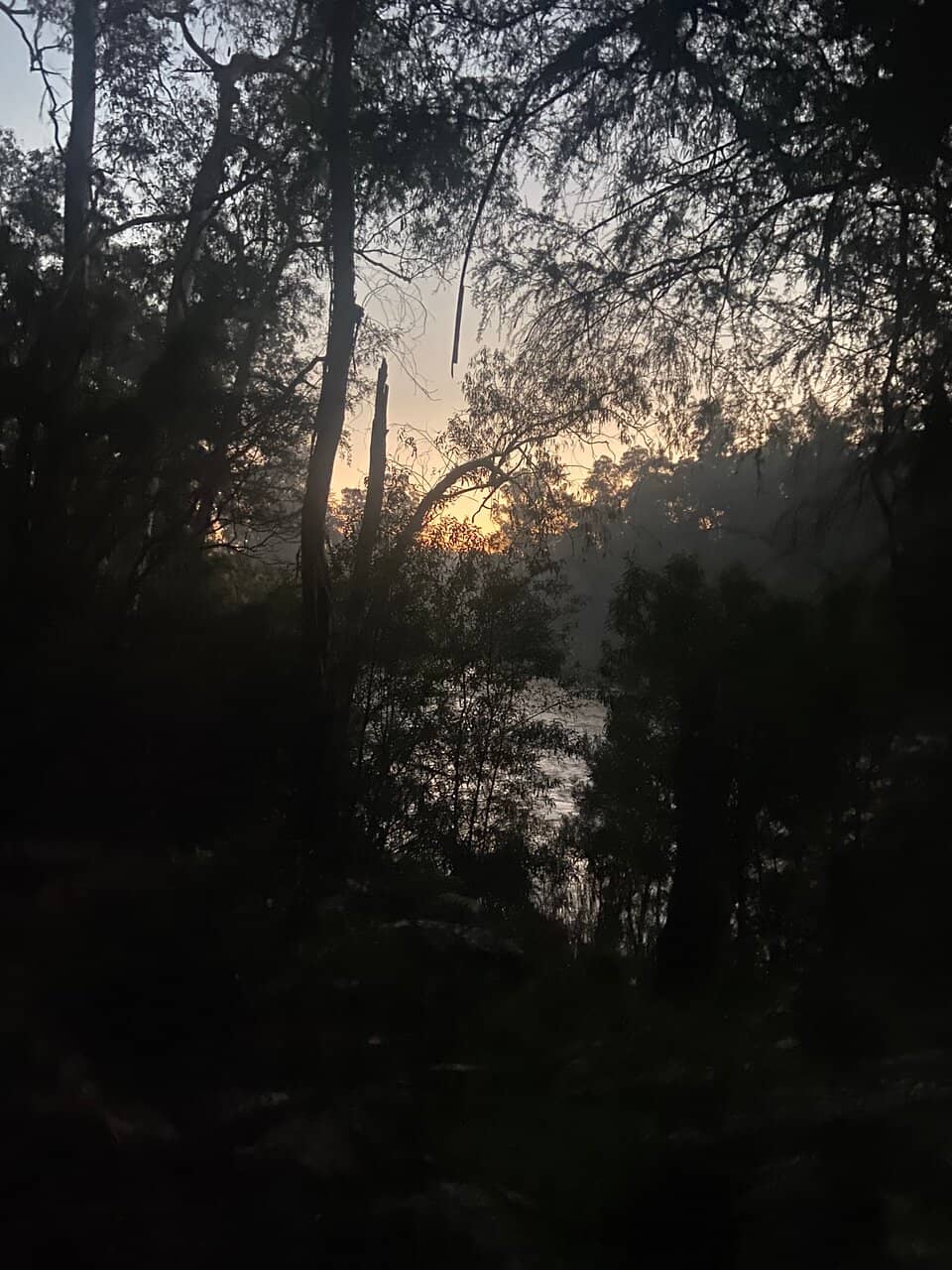 Family-Friendly Nature Walks