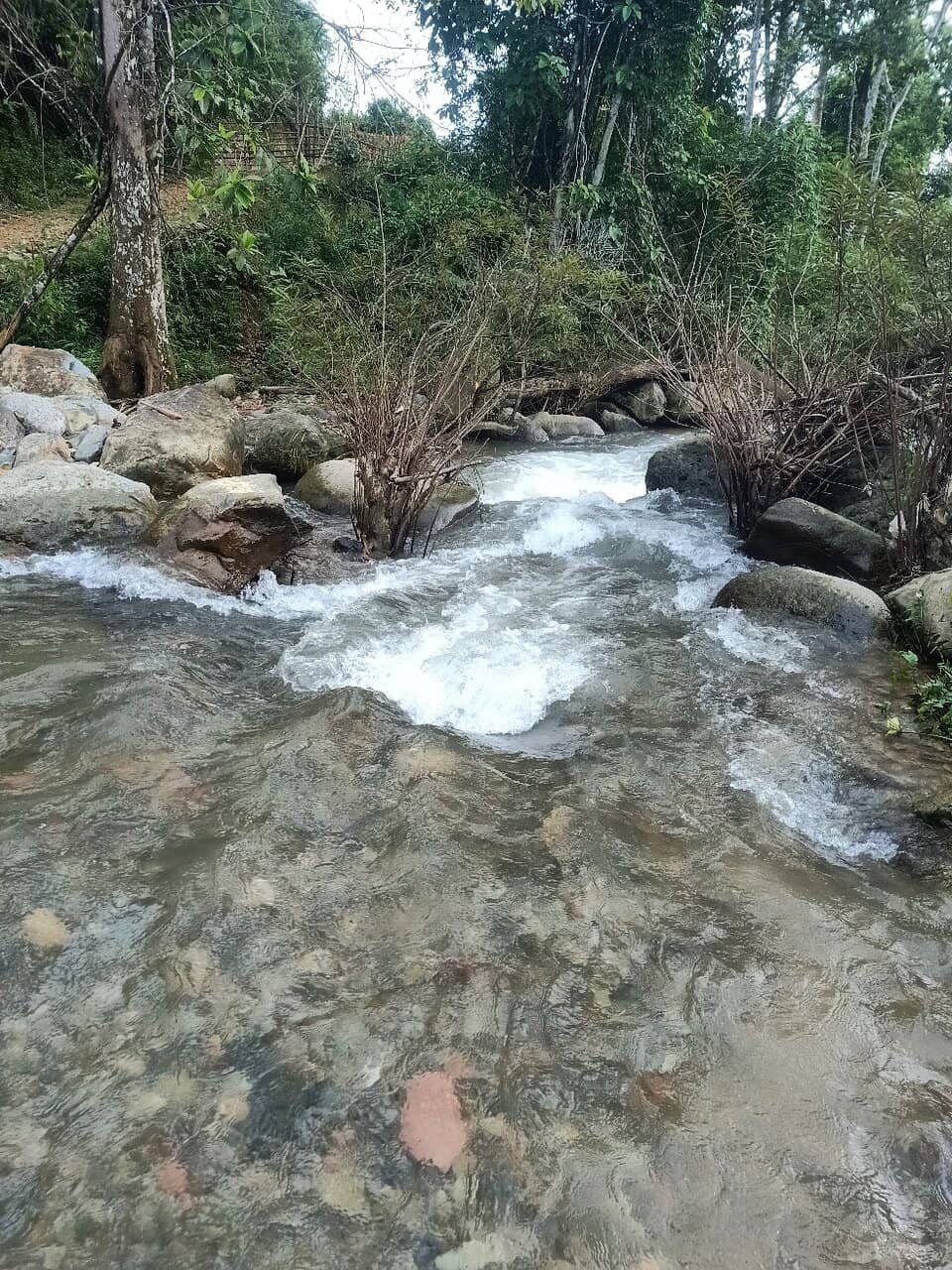 Lower Pools