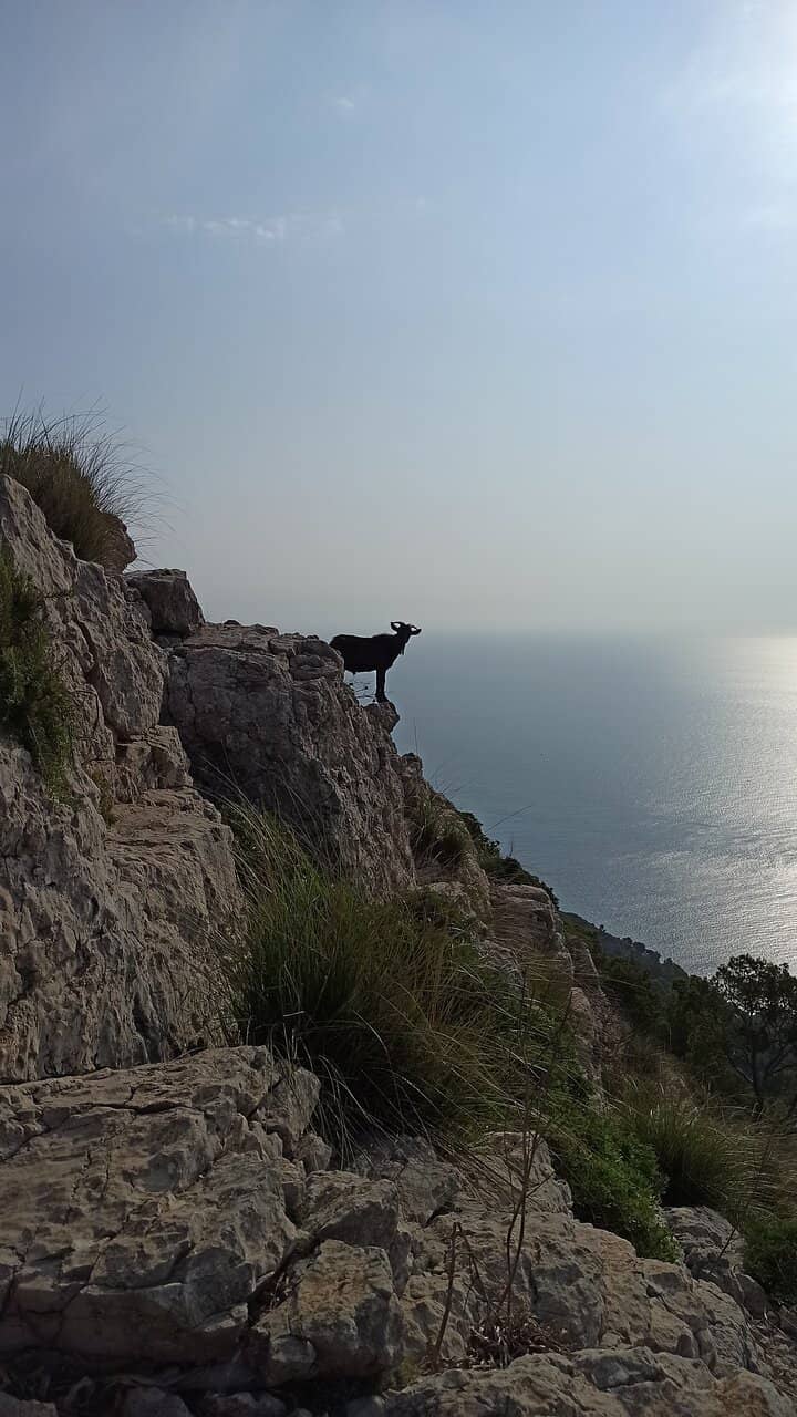 Rocky Summit Trail