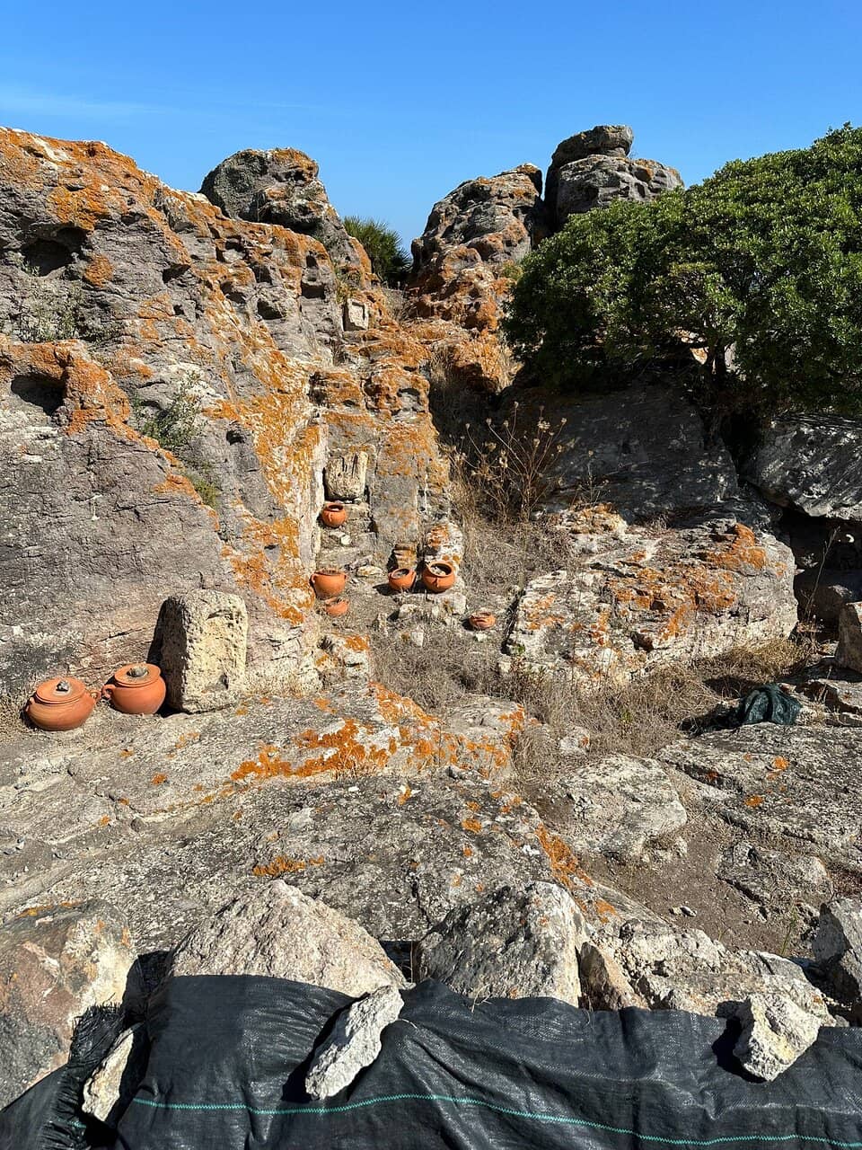 Interactive Museum Exhibits