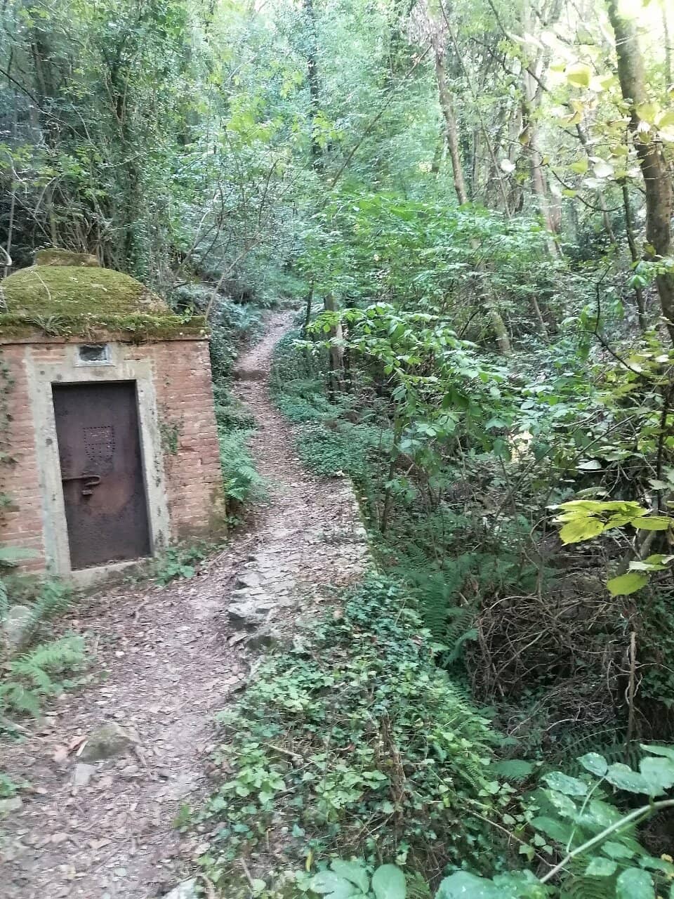 Le Parole d'Oro