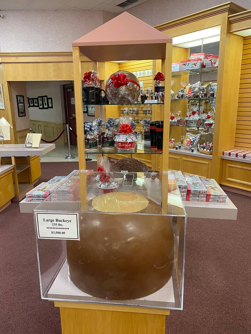 The Chocolate Making Process