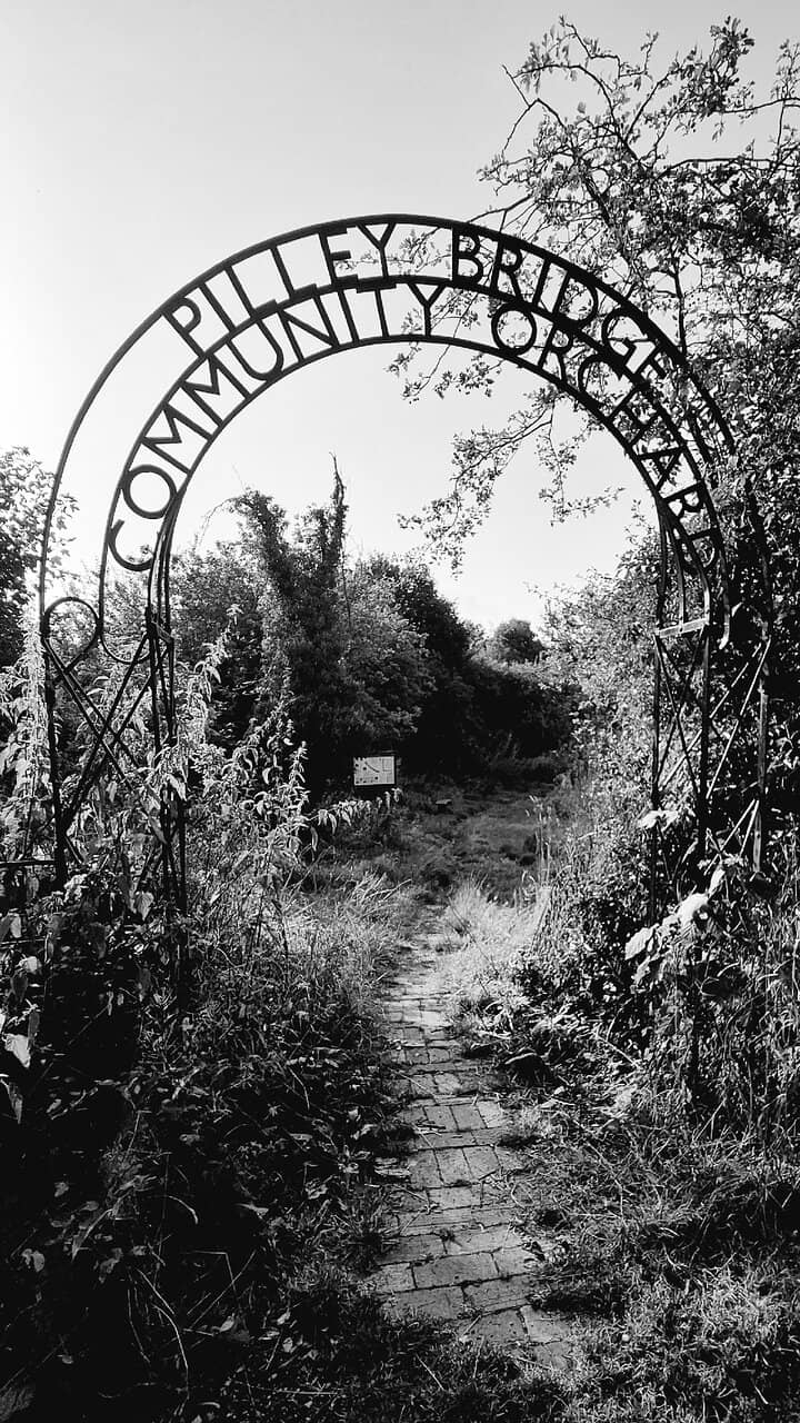 Spring Blossom Display