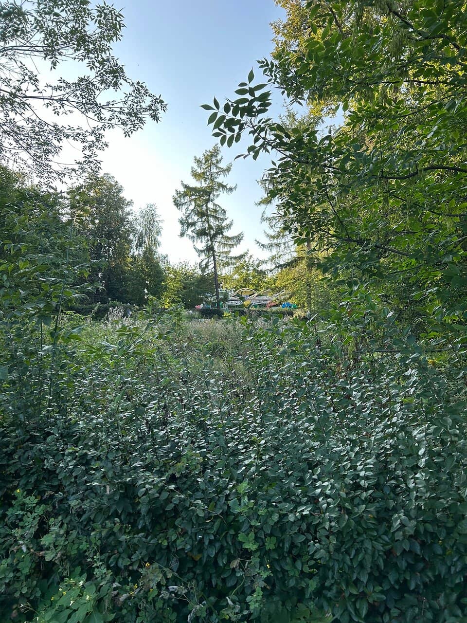 Meschera Lowlands Nature