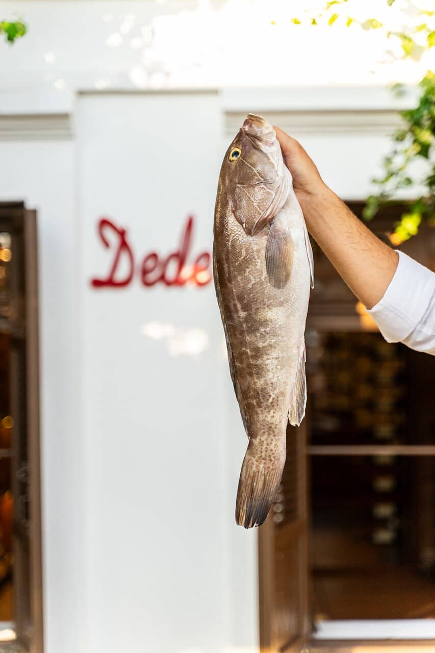 Fresh Seafood & Skilled Preparation