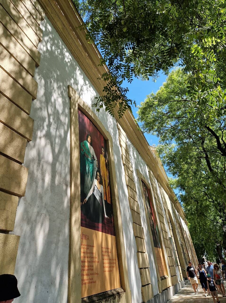 World-Class Opera Performances