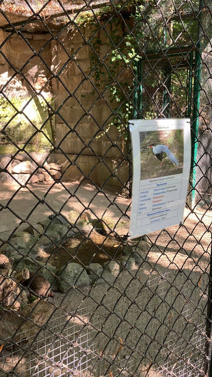 Playground & Restaurant