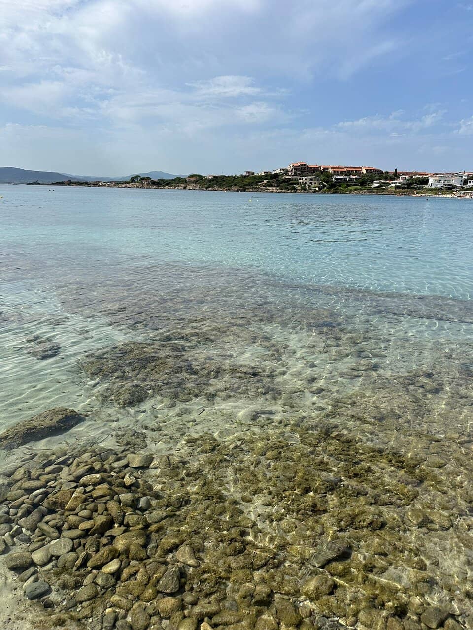 Snorkeling Encounters