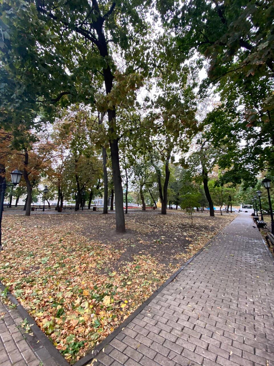 Scenic Benches & Trees